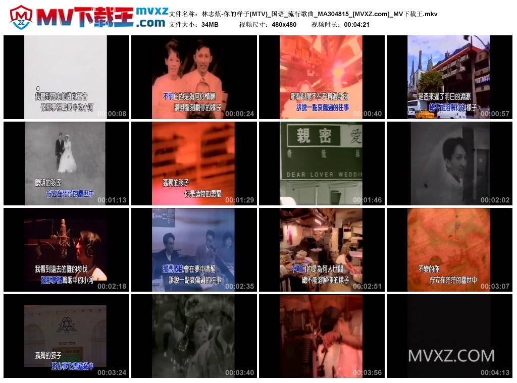 林志炫-你的样子(MTV)_国语_流行歌曲_MA304815